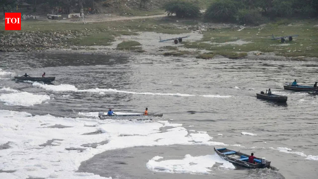 Govt panel to probe dept’s plan to buy 2 ‘VIP boats’ for Rs 6cr