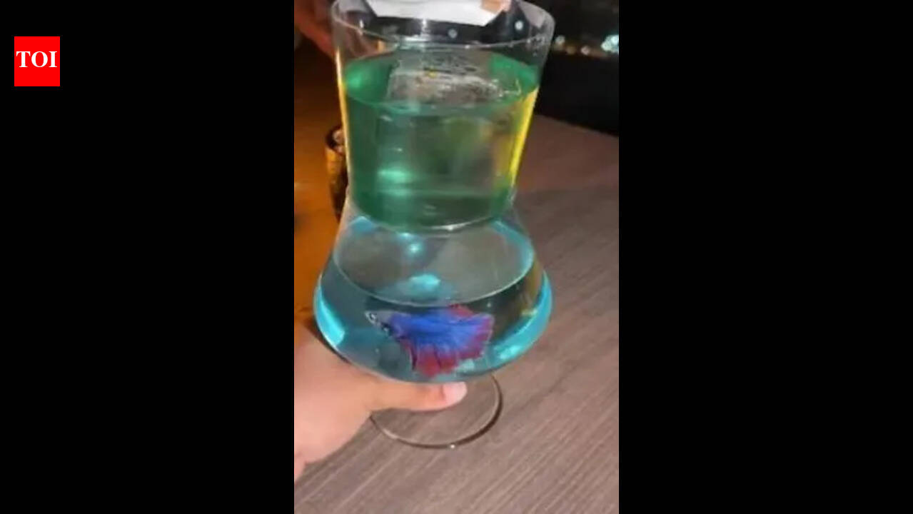 Sanjay Dutt’s Mumbai Bar