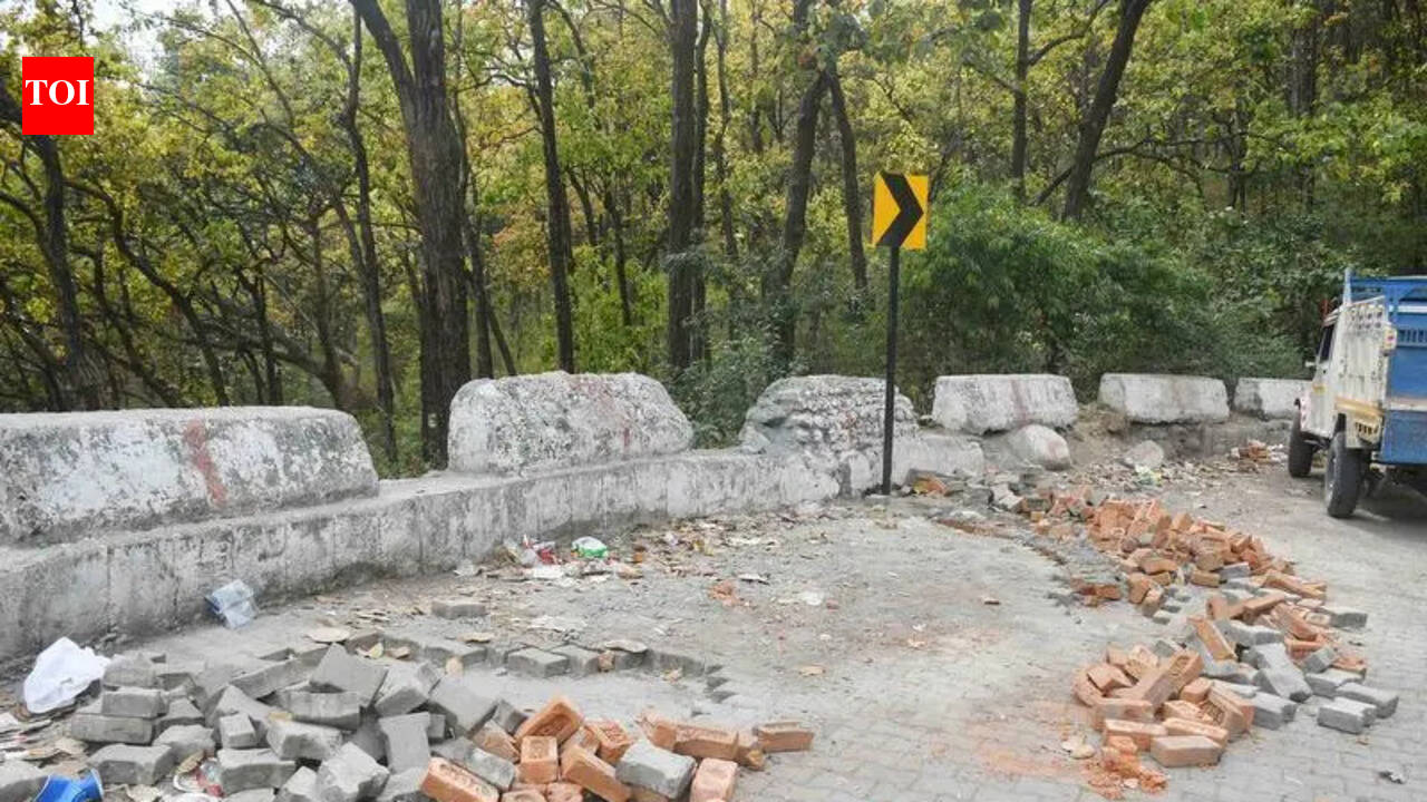 Construction near Rajpur reserve forest halted over threat to wildlife