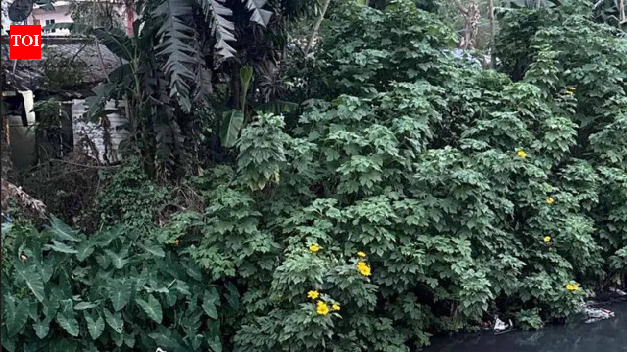 Bhubaneswar civic body introduces trash rack barrier system to check drain clogging and accidents