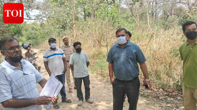 Trapped in wetland, tiger cub falls to crocodile attack in West Champaran
