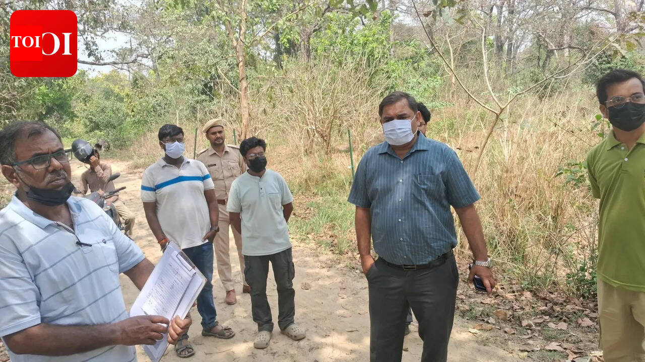 Trapped in wetland, tiger cub falls to crocodile attack in West Champaran