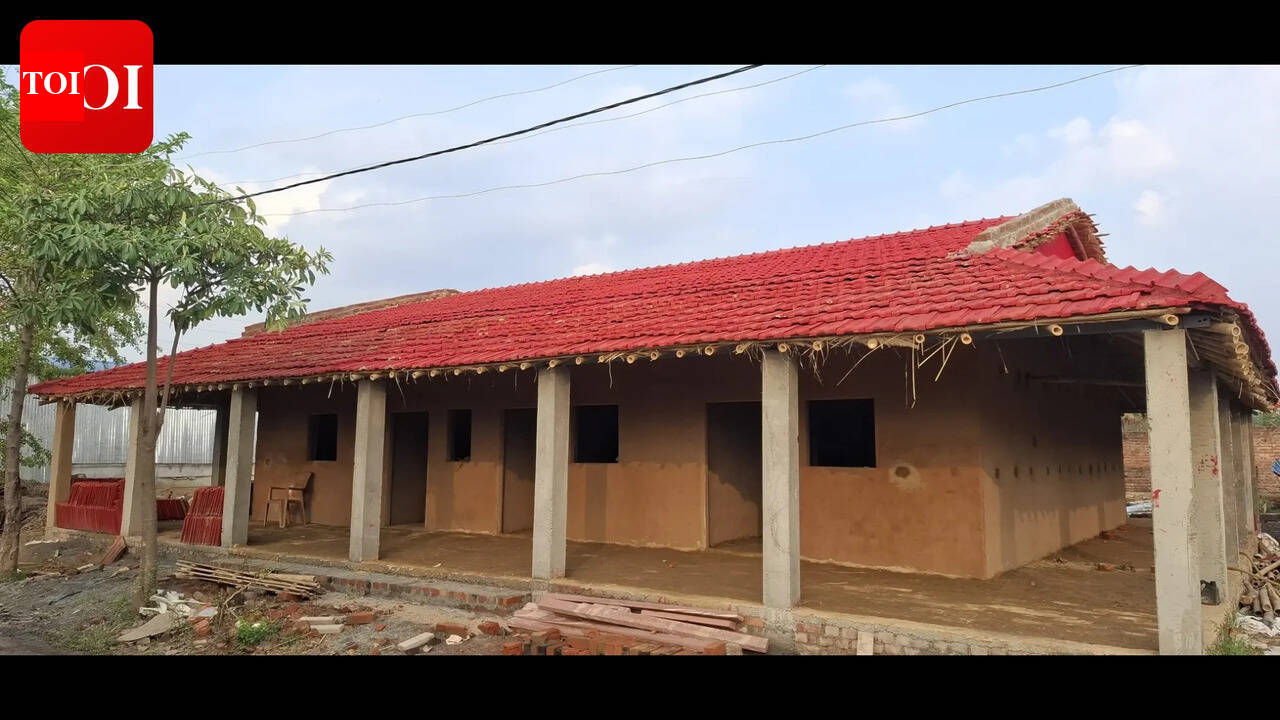 Unique herbal construction in Gaya village draws attention