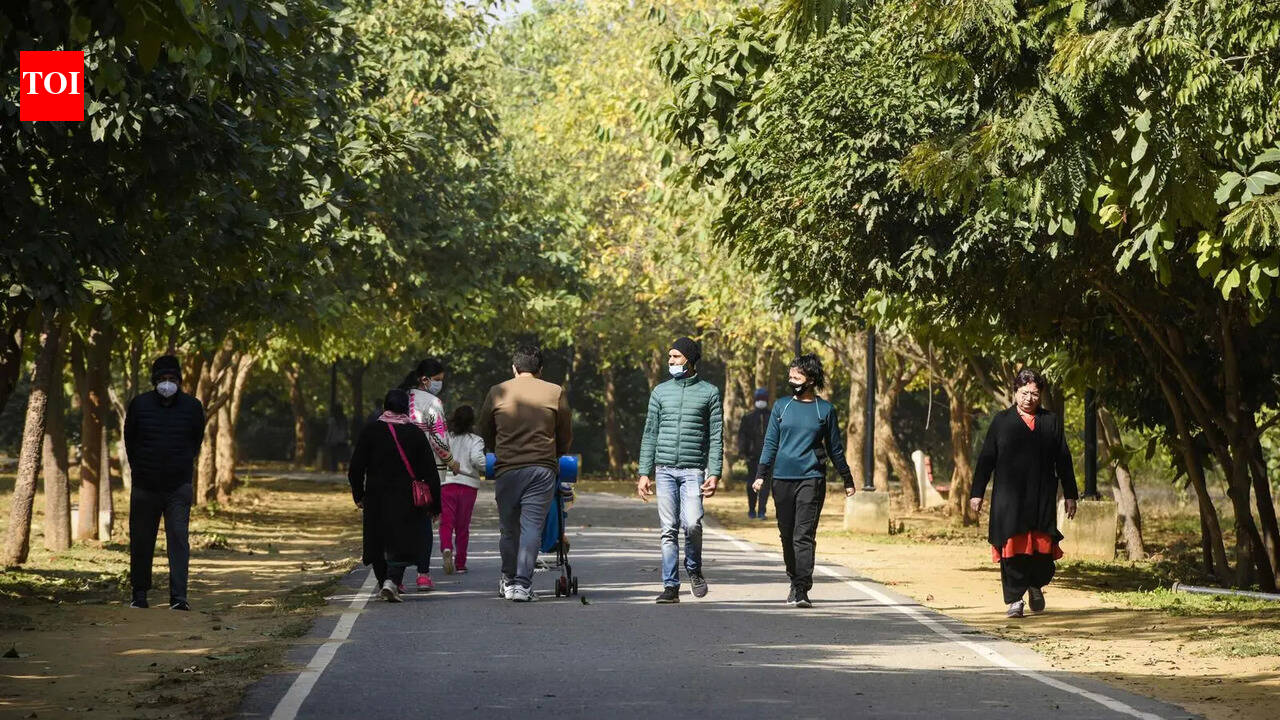 After 2-year delay, Gurgaon’s biodiversity park set for upgrade with library-cum-amphitheatre