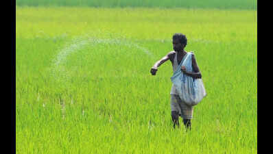 War will hit urea imports, but there are ways to fix it