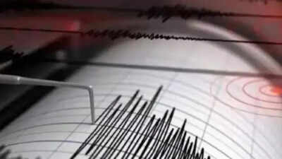 7.4 magnitude earthquake hits Indonesia