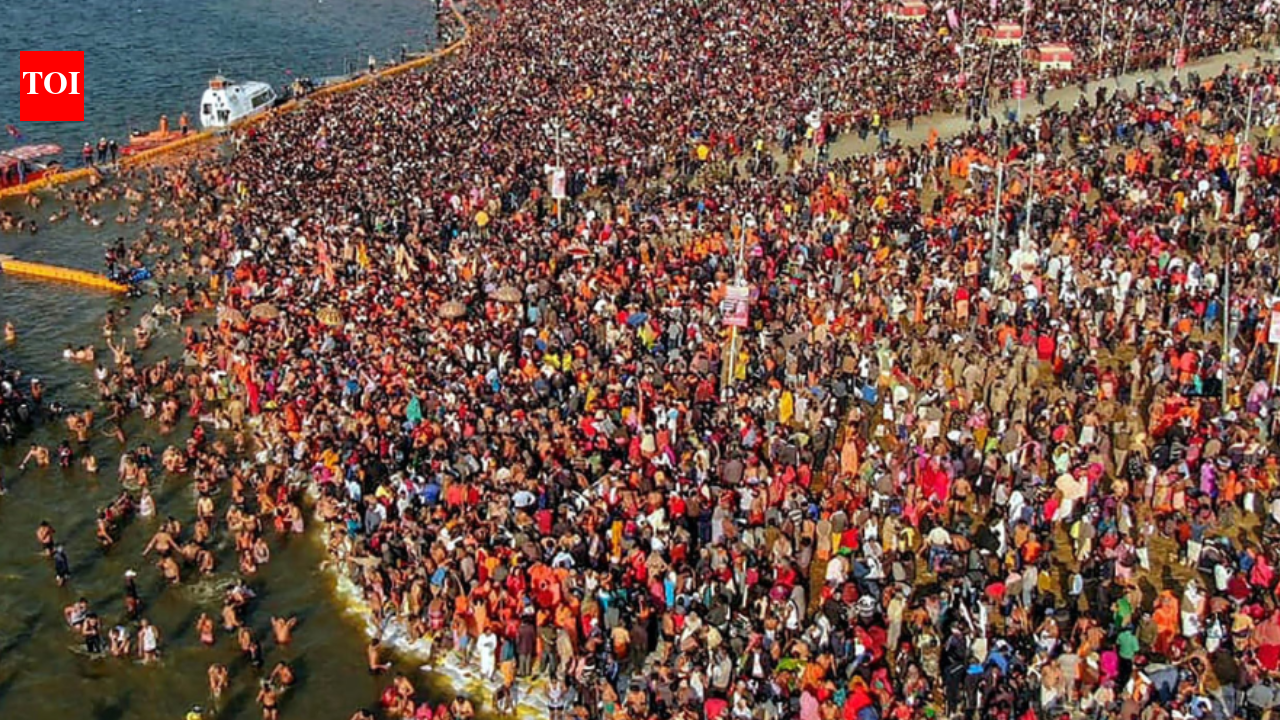 Haridwar plans raw meat ban from civic area ahead of Ardh Kumbh