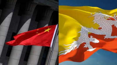 China, Bhutan push forward border alignment discussions