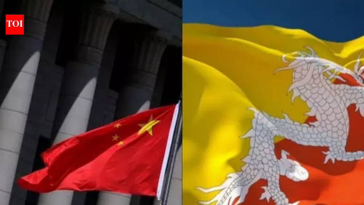 China, Bhutan push forward border alignment discussions