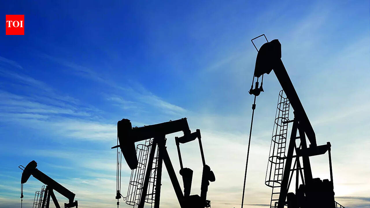 Centre grants full customs duty exemption on critical petrochemical products amid Middle East crisis: Check list