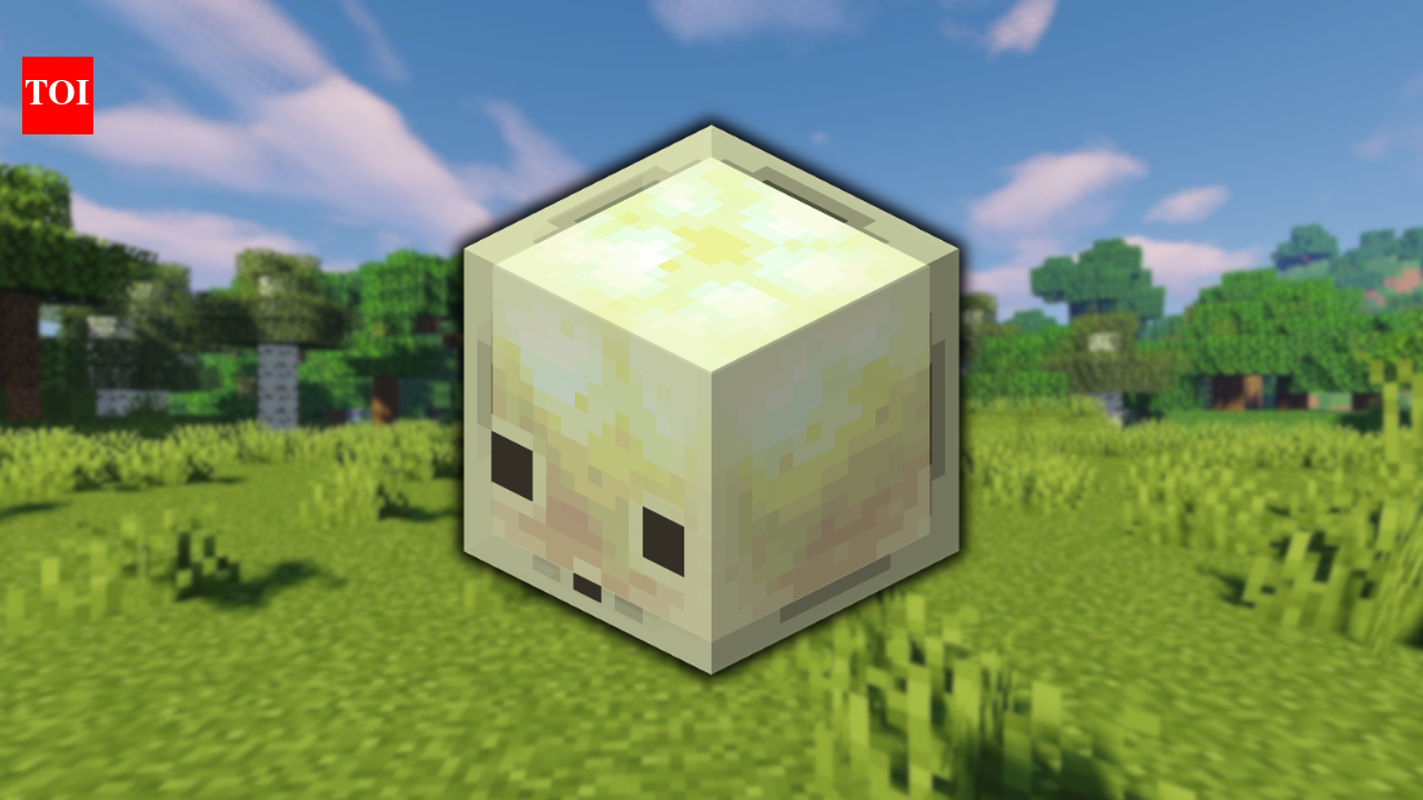 Everything we know about Sulfur Cube in Minecraft