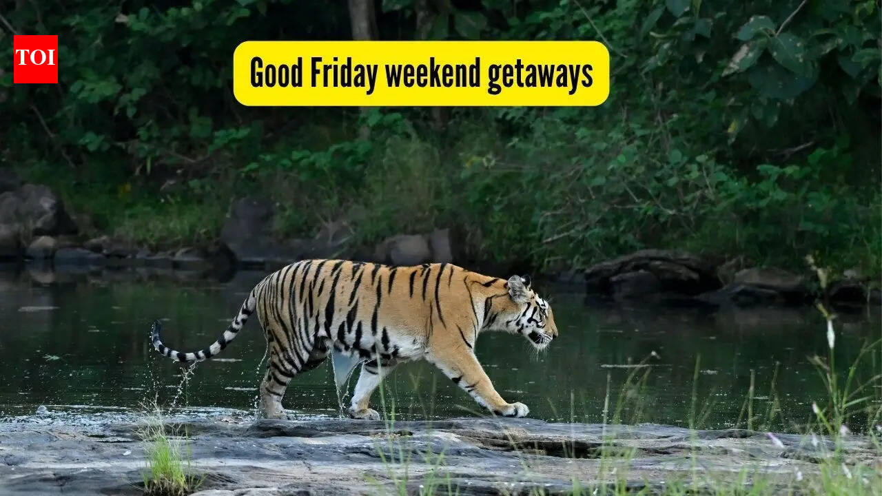 Good Friday long weekend escapes from Delhi: Top national parks in India for a wildlife break
