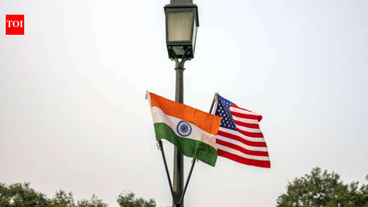 ‘Go back to your country’: Indian-origin founder highlights hate incidents in US, seeks help