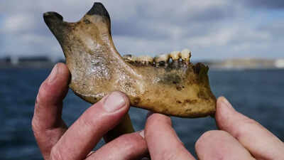 Danish warship sunk by Nelson's British fleet discovered after 225 years