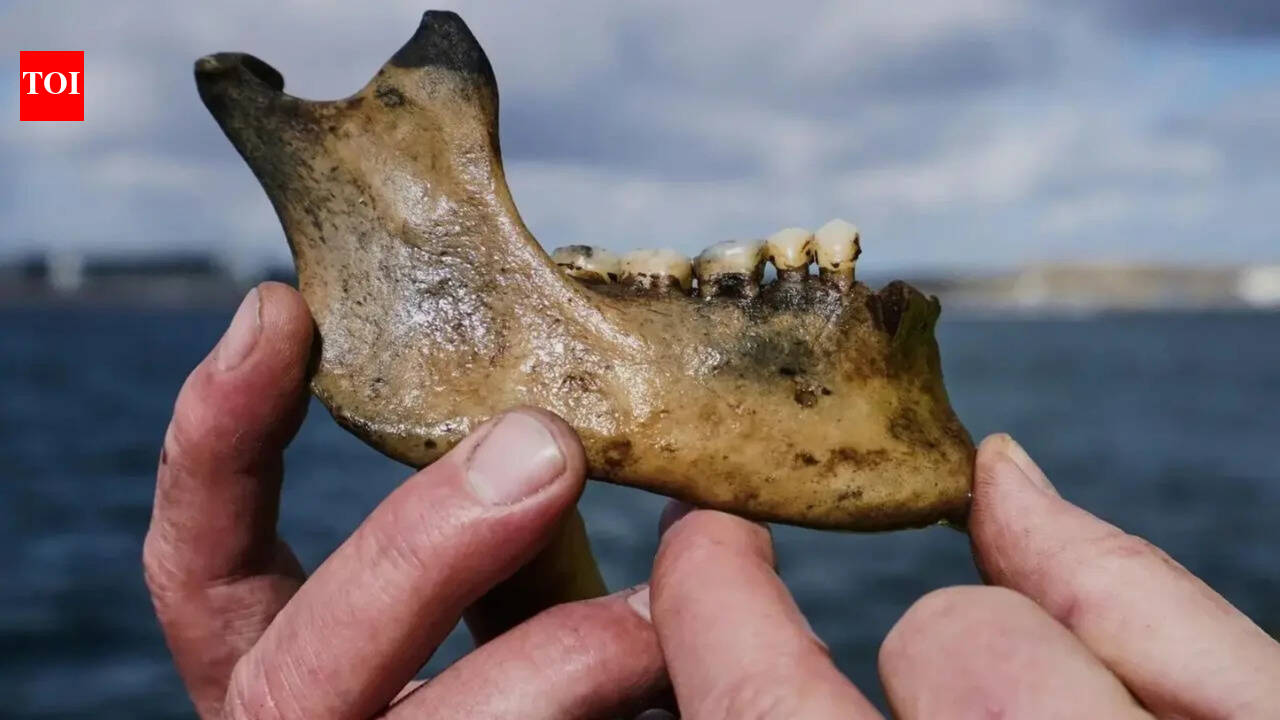 Danish warship sunk by Nelson's British fleet discovered after 225 years