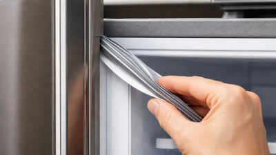 This small rubber strip on your fridge door could be reducing your electricity bill; here’s how