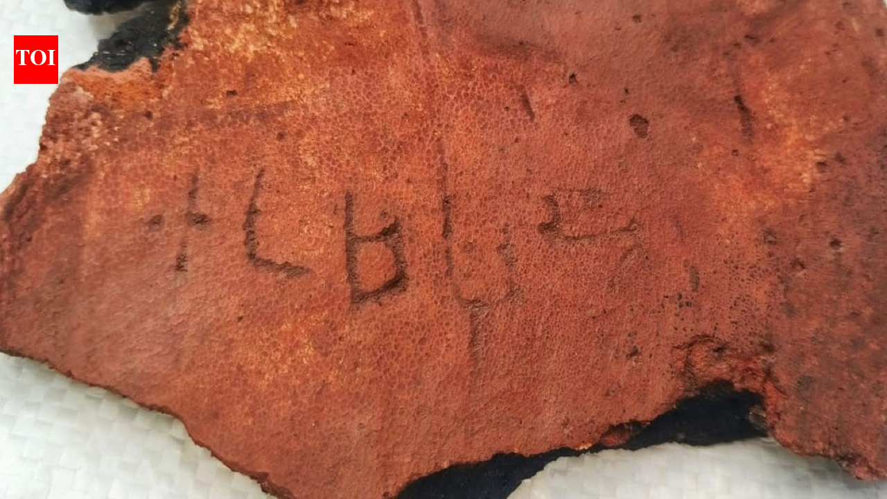 ASI finds Chera period potsherd at Kumarikkalpalayam excavation site in Tirupur district