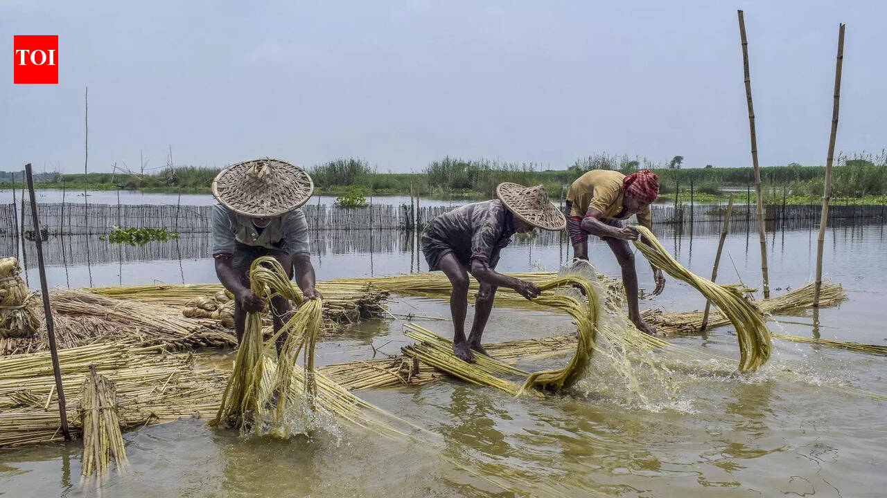 Centre to make Bihar jute hub, says Giriraj