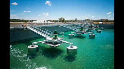  Treated sewage water to irrigate greenery in city