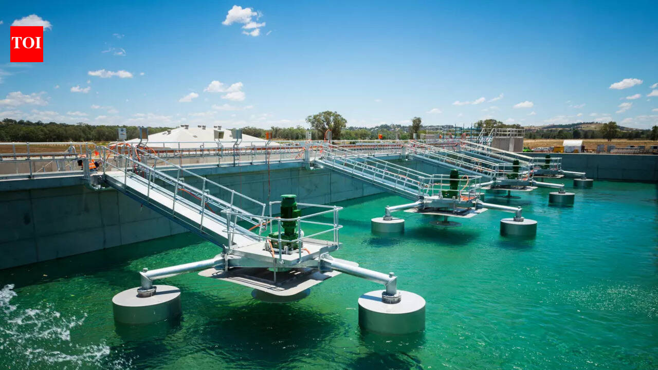 Govt: Treated sewage water to irrigate greenery in city