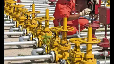 West Asia war effect: Propane gas crisis pushes JSR industrial units to opt for PNG