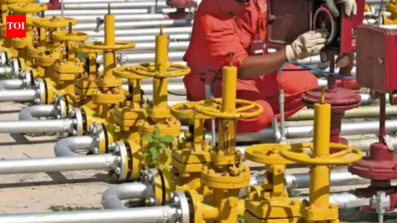 West Asia war effect: Propane gas crisis pushes JSR industrial units to opt for PNG