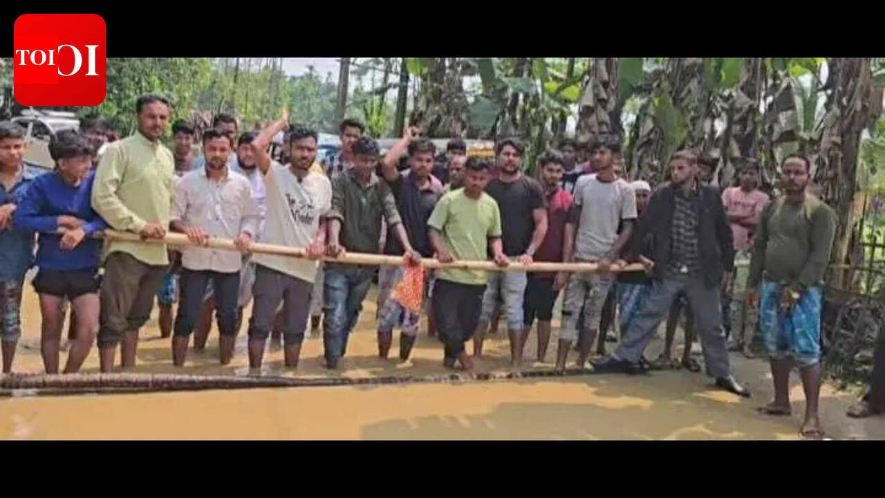 Crumbling roads, stalled bridges turn poll flashpoint in Barak Valley