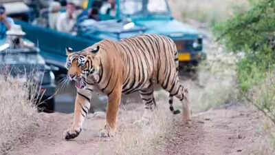 HC directs govt to furnish report of PTR conservation