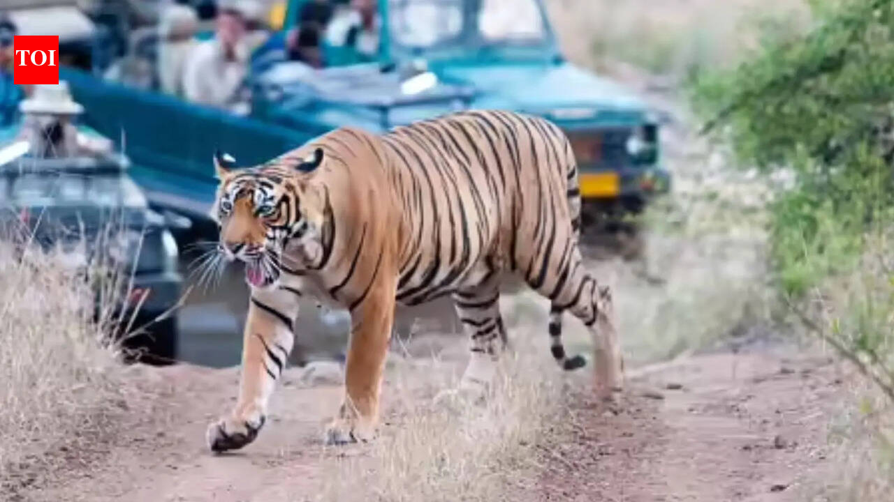 HC directs govt to furnish report of PTR conservation