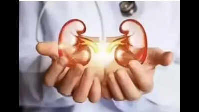 Lookout notice issued against four doctors
