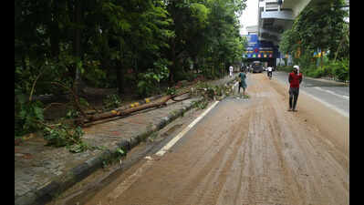 Gurgaon civic body orders safety audit ahead of monsoon, warns against loss of life