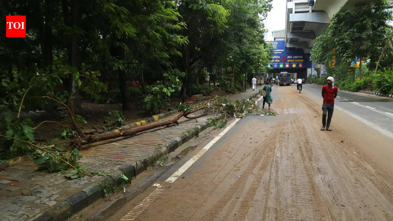 Gurgaon civic body orders safety audit ahead of monsoon, warns against loss of life