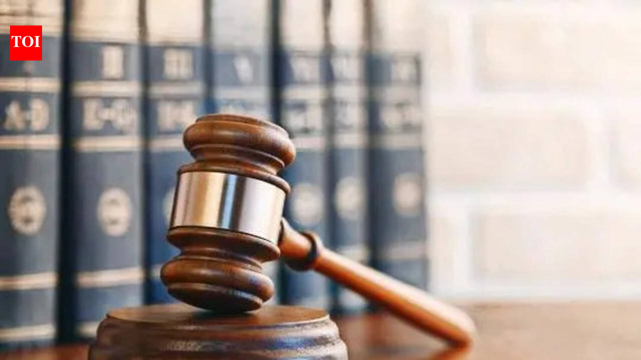 The Times of India - Politics - News Image