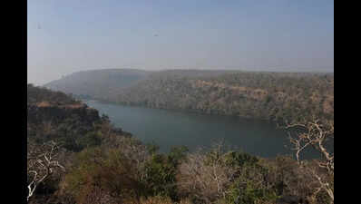 SC stays Raj bid to denotify 732 ha of Chambal sanctuary