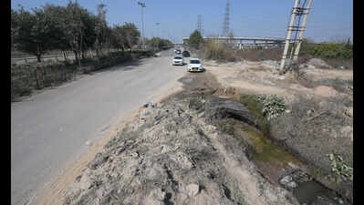 Land earmarked, but only about one-third greenbelts developed in new sectors in Gurgaon