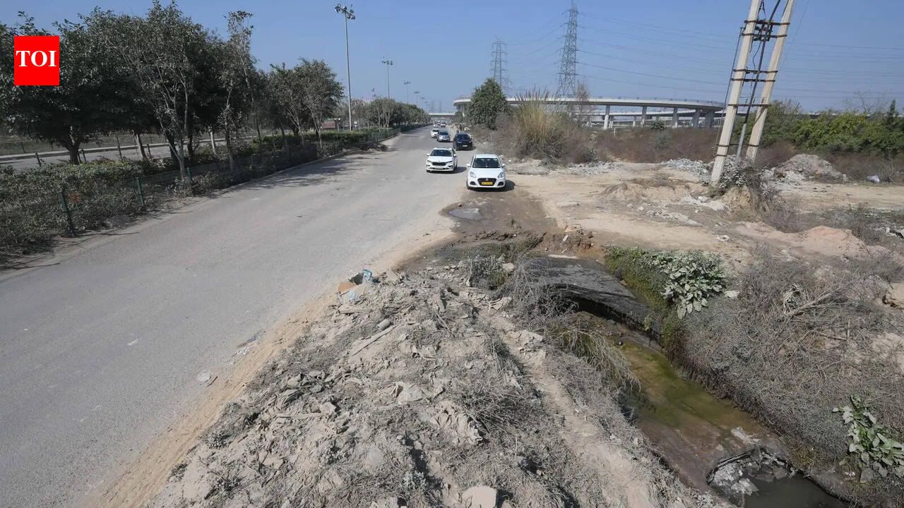 Land earmarked, but only about one-third greenbelts developed in new sectors in Gurgaon