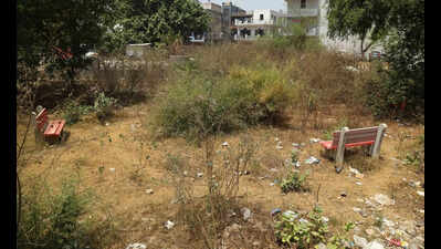 GPS-tagged photo proof must for RWAs to claim park maintenance payments, says Gurgaon civic body