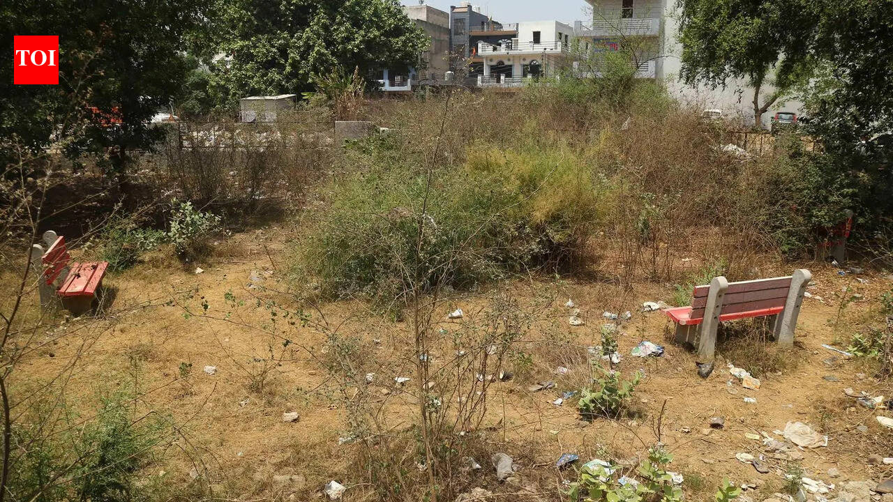 GPS-tagged photo proof must for RWAs to claim park maintenance payments, says Gurgaon civic body