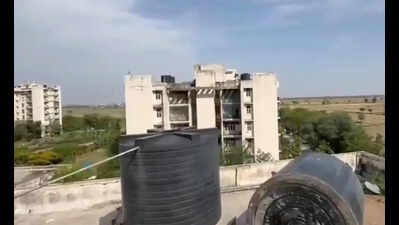 3 monkeys found dead in Nuh medical college water tanks, contaminated supply suspected