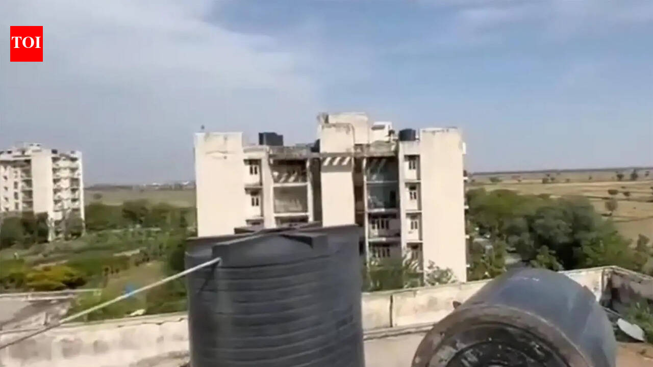 3 monkeys found dead in Nuh medical college water tanks, contaminated supply suspected