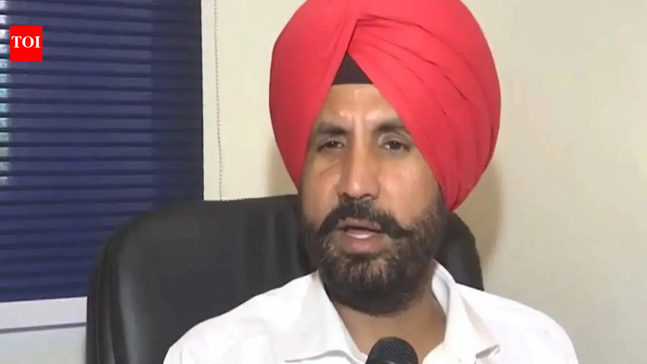 'Clear that Raghav Chadha separate from AAP': Amarinder Singh Raja Warring says people realised this during Kejriwal’s arrest