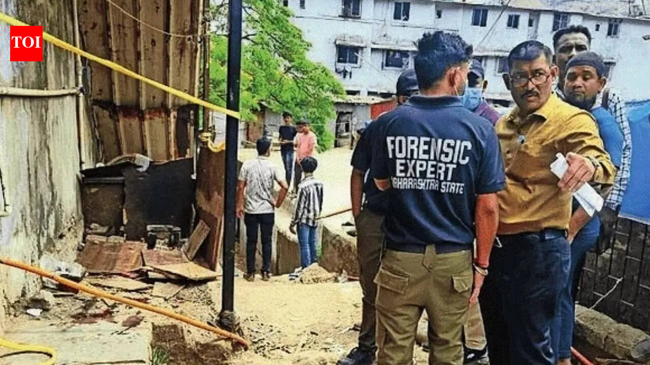 'Sister harassed': Man open fires at 3 in Thane; 1 dead, 2 injured