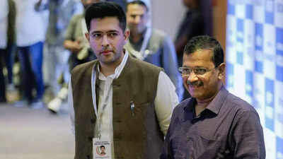  AAP MP Raghav Chadha not seen at key party events of late