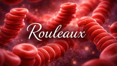  Rouleaux