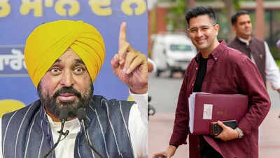 'Raghav Chadha is compromised': Punjab CM Bhagwant Mann responds to AAP's Rajya Sabha move