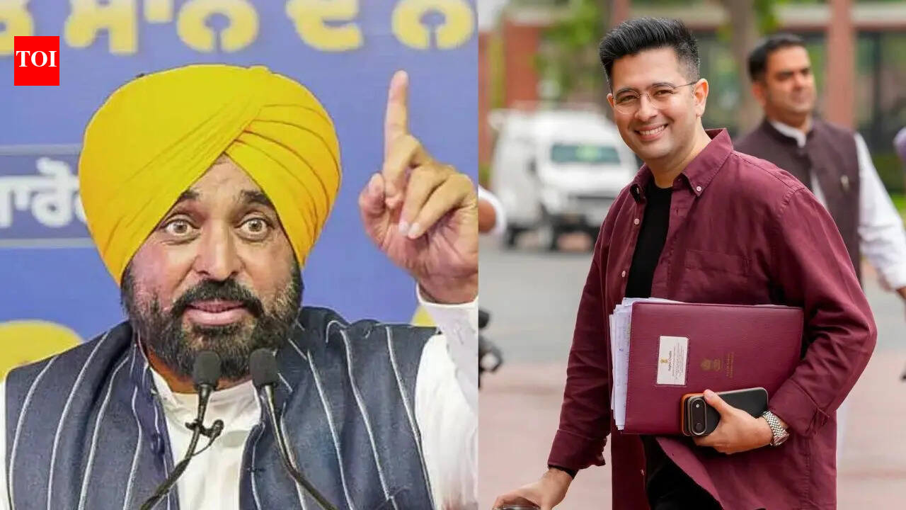 'Raghav Chadha is compromised': Punjab CM Bhagwant Mann responds to AAP's Rajya Sabha move