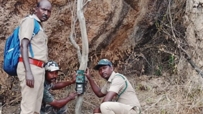 Forest dept places cage to trap leopard near Karamadai