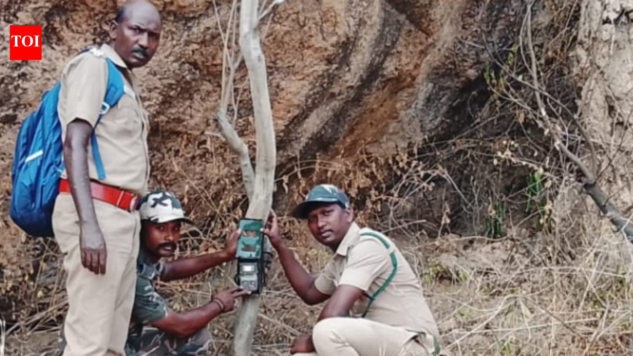 Forest dept places cage to trap leopard near Karamadai