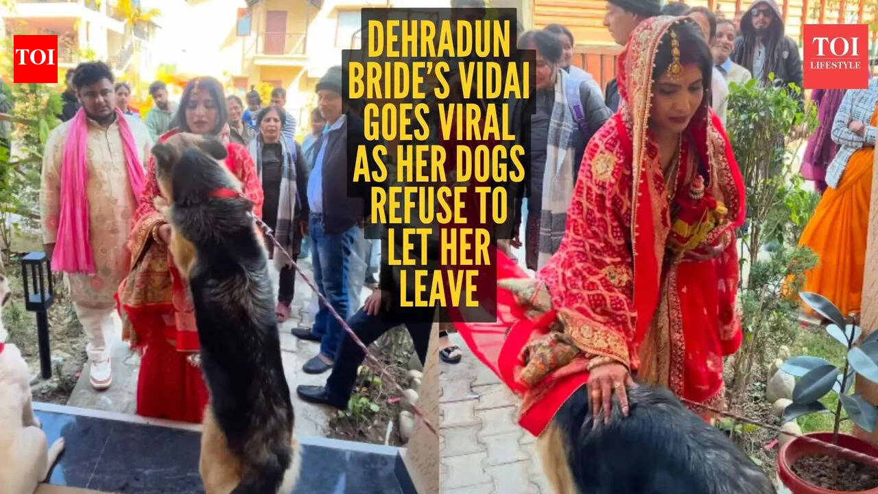 A Dehradun bride’s Vidai is making the internet cry because her dogs just wouldn’t let her leave