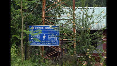 11 get 4 years’ jail for poaching tusker in Similipal